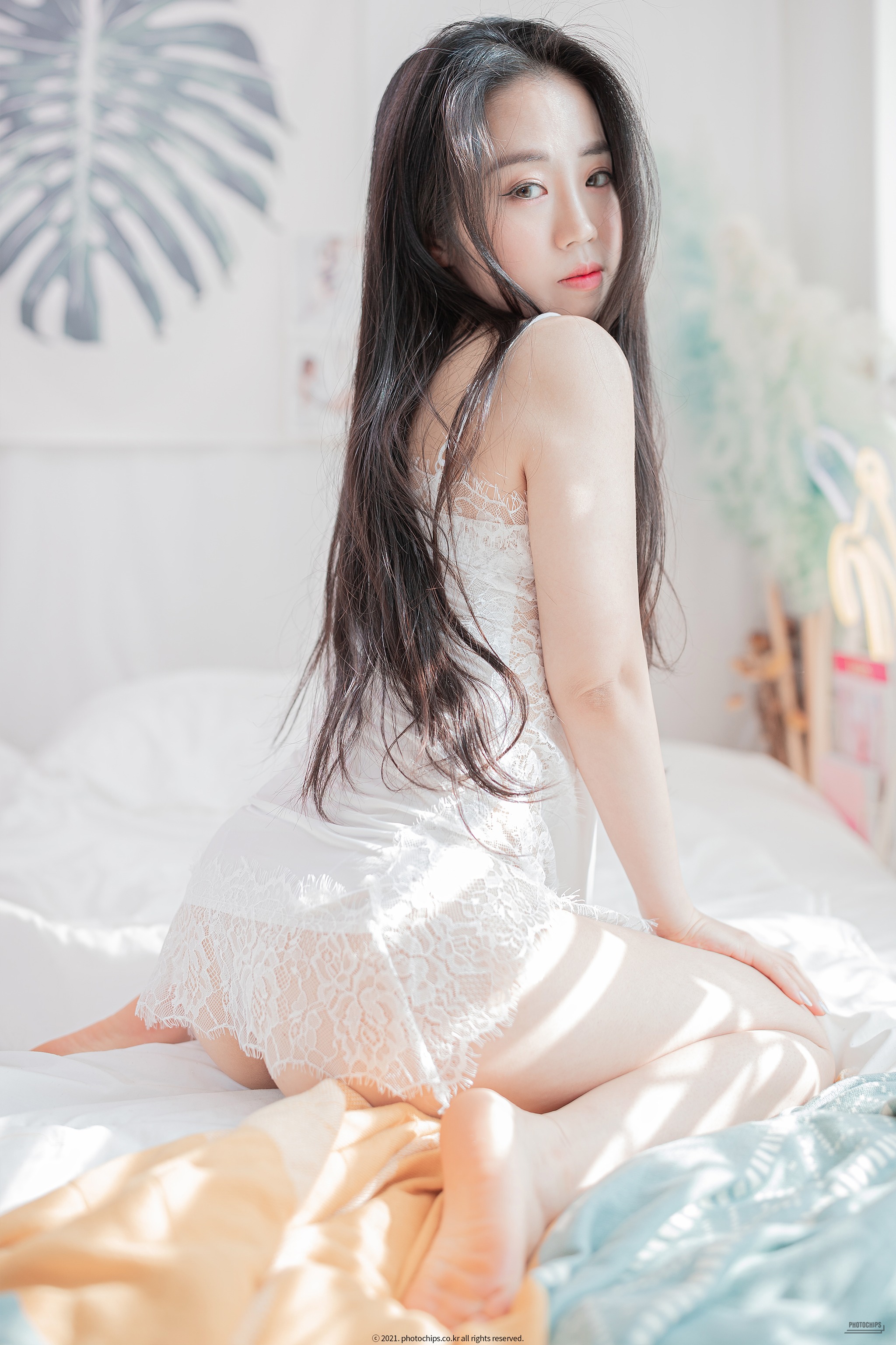 Dami퀸다미 - NO.018 Dami(퀸다미) PhotoChips Vol.76 - No.6 Dami (퀸다미) [65P]-XikXak